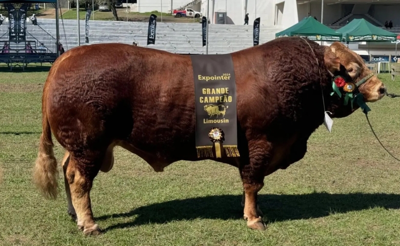 WhatsApp Image 2024-09-03 at 15.20.44